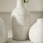 Francesca Budvase Set of 4 By Accent Decor | Vases | Modishstore - 1