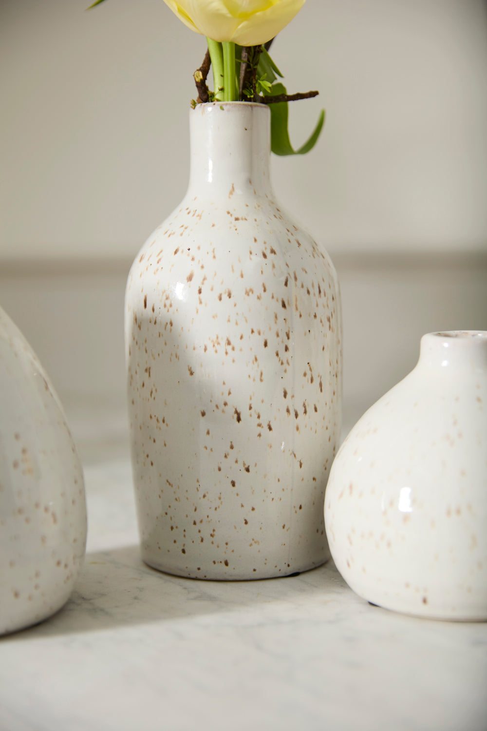 Francesca Budvase Set of 4 By Accent Decor | Vases | Modishstore - 1