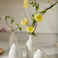 Francesca Budvase Set of 4 By Accent Decor | Vases | Modishstore - 3