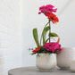 Francis Pot Set of 8 By Accent Decor | Planters, Troughs & Cachepots | Modishstore - 3