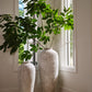 Friedrich Vase By Accent Decor | Vases | Modishstore - 3