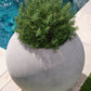 Full Moon Planter By Accent Decor | Planters, Troughs & Cachepots | Modishstore - 1