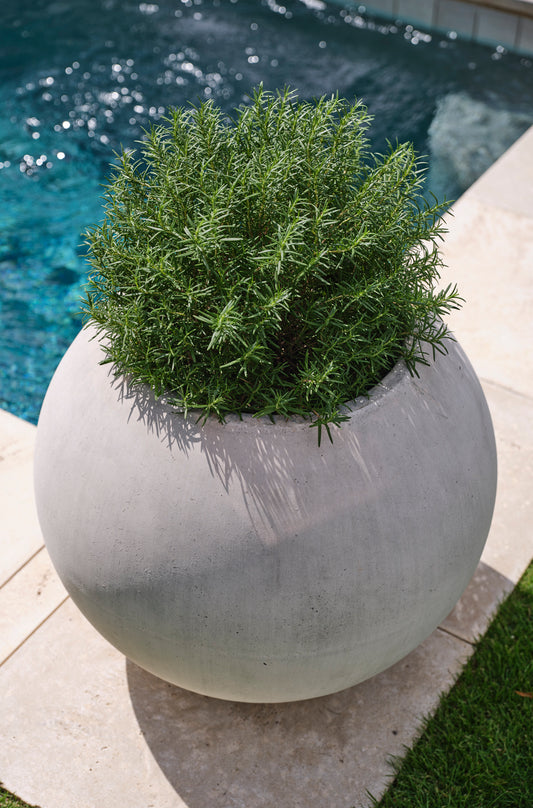 Full Moon Planter By Accent Decor | Planters, Troughs & Cachepots | Modishstore - 1