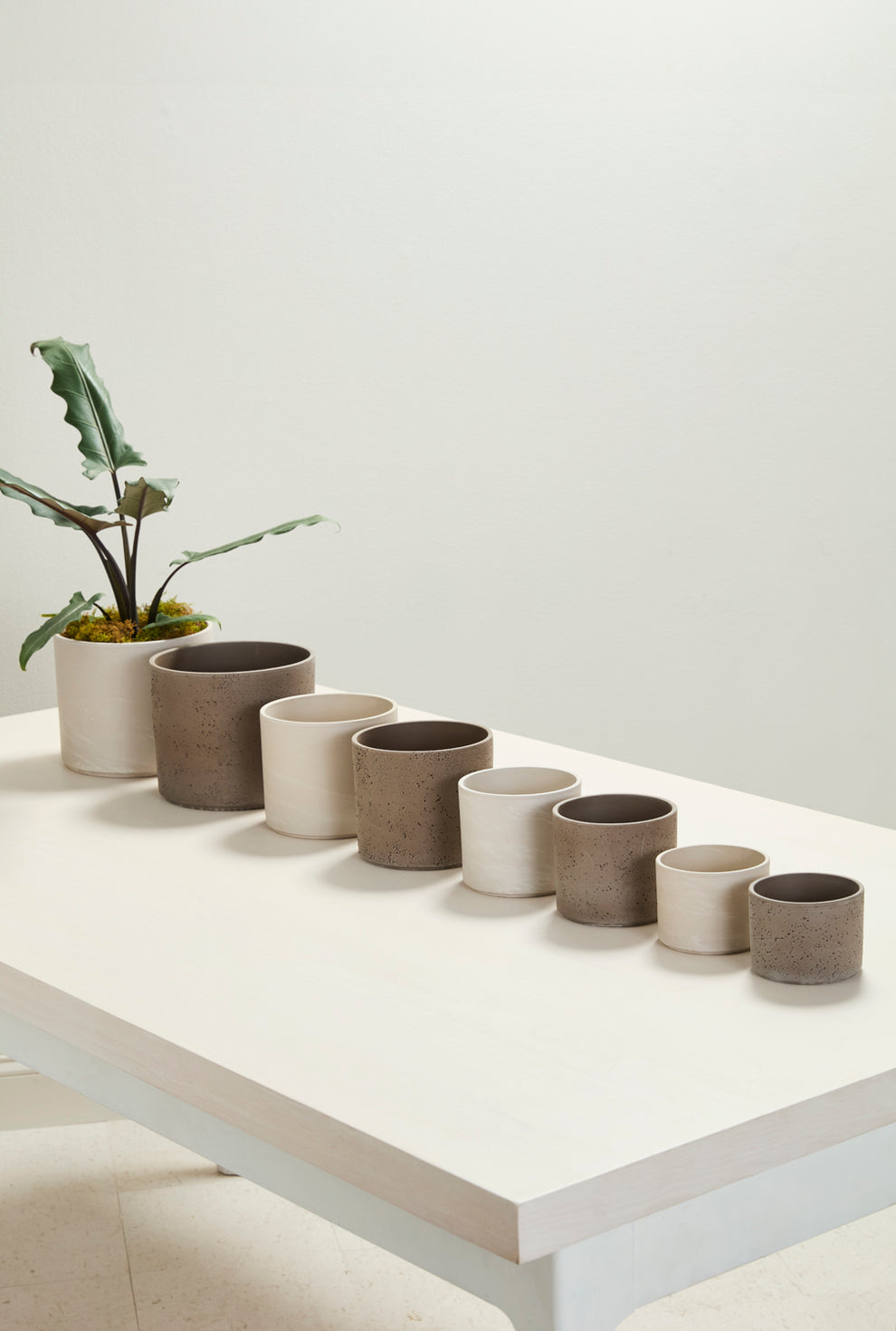 Fulton Pot Set of 8 By Accent Decor | Planters, Troughs & Cachepots | Modishstore - 3
