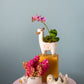 Fuzzy Feelings Collection Set of 4 By Accent Decor | Planters, Troughs & Cachepots | Modishstore - 1