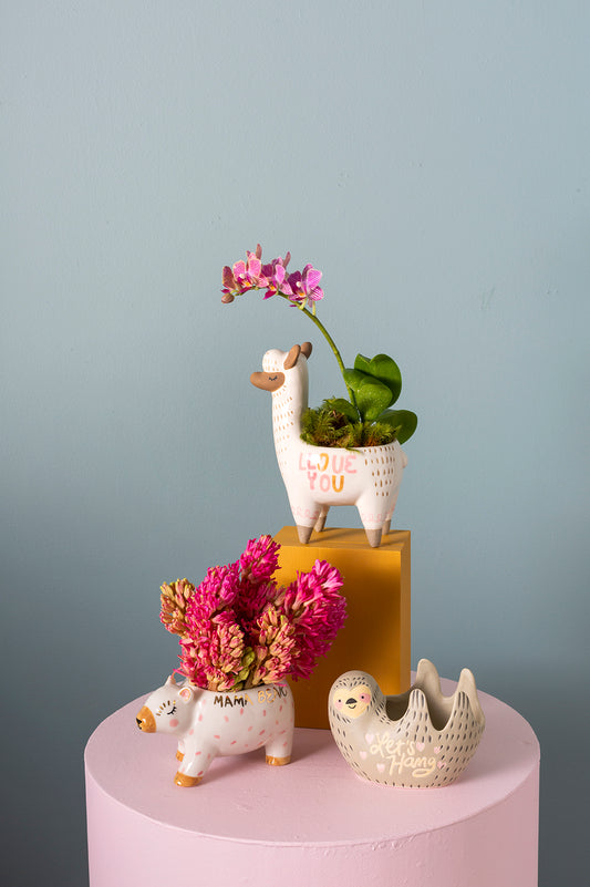 Fuzzy Feelings Collection Set of 4 By Accent Decor | Planters, Troughs & Cachepots | Modishstore - 1