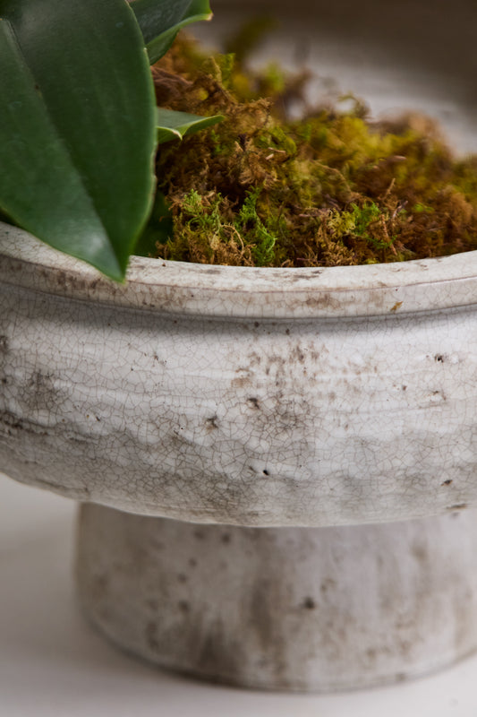 Garance Footed Bowl By Accent Decor | Decorative Bowls | Modishstore - 1