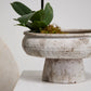 Garance Footed Bowl By Accent Decor | Decorative Bowls | Modishstore - 4