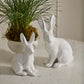 Garden Rabbit Figurine Set of 2 By Accent Decor | Figurines | Modishstore - 3