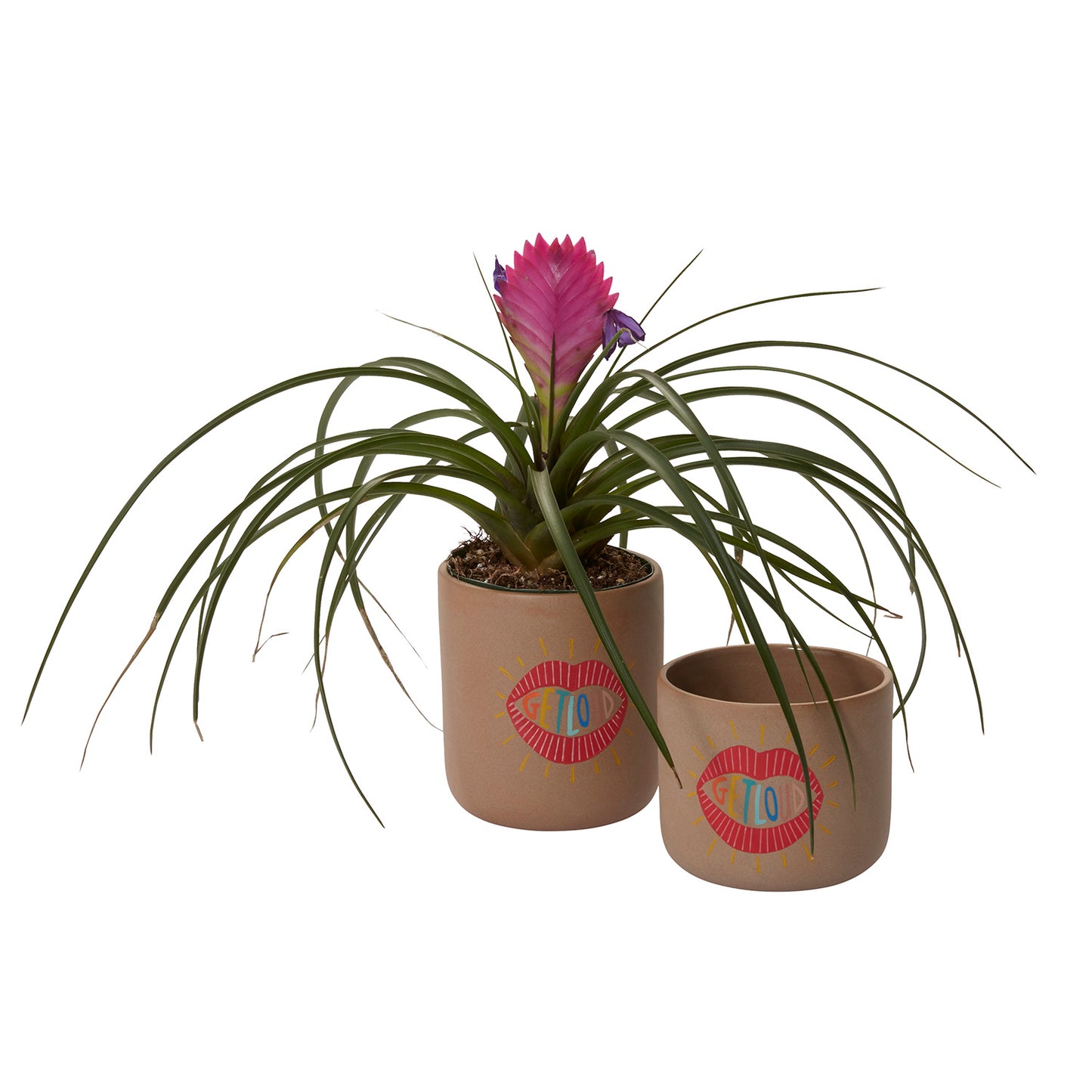 Get Loud Pot Set of 8 By Accent DŽcor