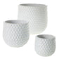 Ginny Pot Set of 8 By Accent Decor | Planters, Troughs & Cachepots | Modishstore - 6
