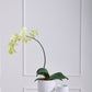 Ginny Pot Set of 8 By Accent Decor | Planters, Troughs & Cachepots | Modishstore - 1
