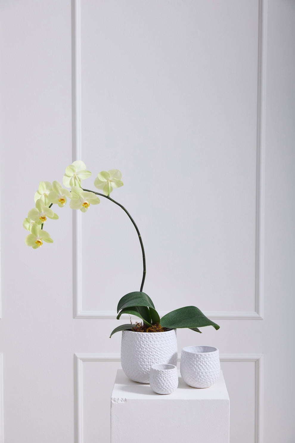 Ginny Pot Set of 8 By Accent Decor | Planters, Troughs & Cachepots | Modishstore - 1
