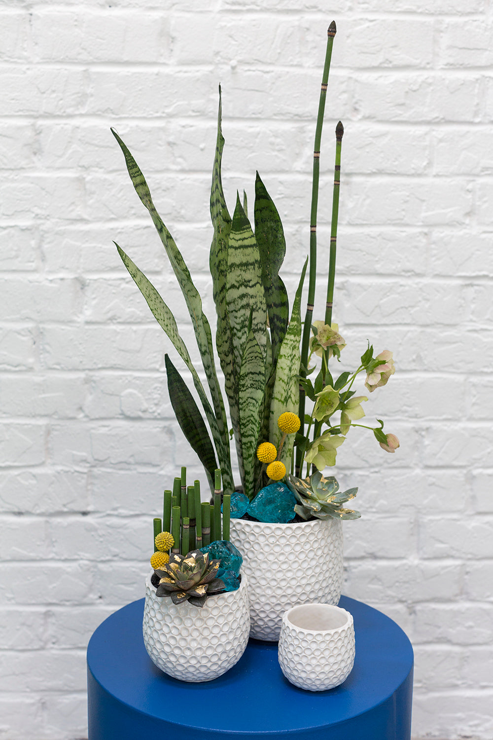 Ginny Pot Set of 8 By Accent Decor | Planters, Troughs & Cachepots | Modishstore - 3