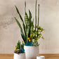 Ginny Pot Set of 8 By Accent Decor | Planters, Troughs & Cachepots | Modishstore - 5