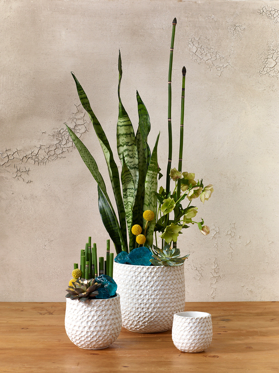 Ginny Pot Set of 8 By Accent Decor | Planters, Troughs & Cachepots | Modishstore - 5