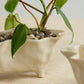 Glaslow Planter Set of 2 By Accent Decor | Planters, Troughs & Cachepots | Modishstore - 1