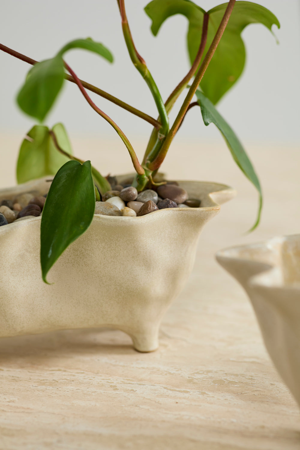 Glaslow Planter Set of 2 By Accent Decor | Planters, Troughs & Cachepots | Modishstore - 1