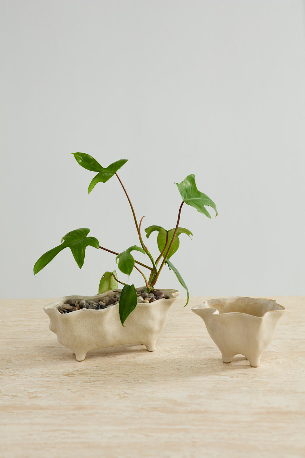 Glaslow Planter Set of 2 By Accent Decor | Planters, Troughs & Cachepots | Modishstore - 3