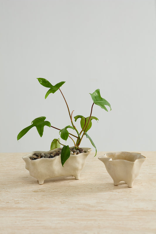 Glaslow Planter Set of 2 By Accent Decor | Planters, Troughs & Cachepots | Modishstore - 3