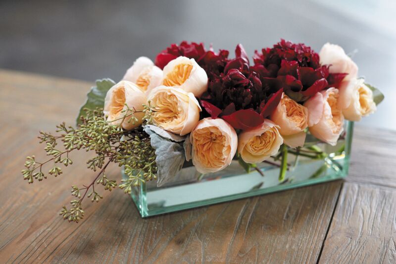 Glass Plate Planter 24"x 4"x 4" By Accent Decor | Planters, Troughs & Cachepots | Modishstore - 1