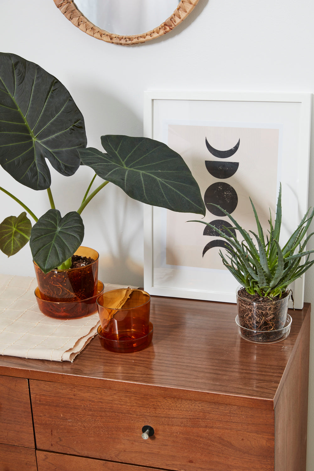 Glass Pot with Saucer Set of 4 By Accent Decor | Planters, Troughs & Cachepots | Modishstore - 1