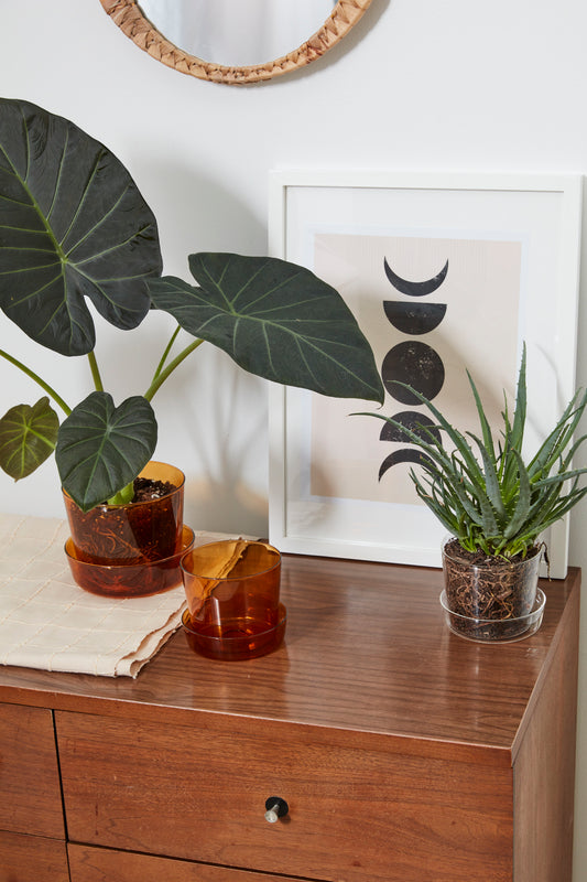 Glass Pot with Saucer Set of 4 By Accent Decor | Planters, Troughs & Cachepots | Modishstore - 1
