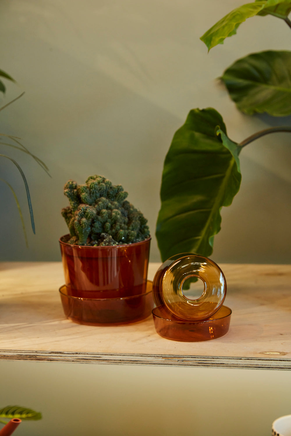 Glass Pot with Saucer Set of 4 By Accent Decor | Planters, Troughs & Cachepots | Modishstore - 3