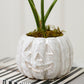 Glazed Pumpkin Pot Set of 2 By Accent Decor | Planters, Troughs & Cachepots | Modishstore - 1
