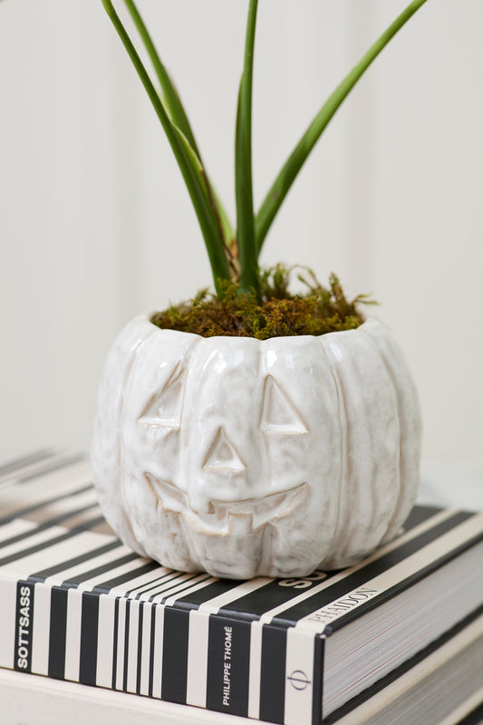 Glazed Pumpkin Pot Set of 2 By Accent Decor | Planters, Troughs & Cachepots | Modishstore - 1