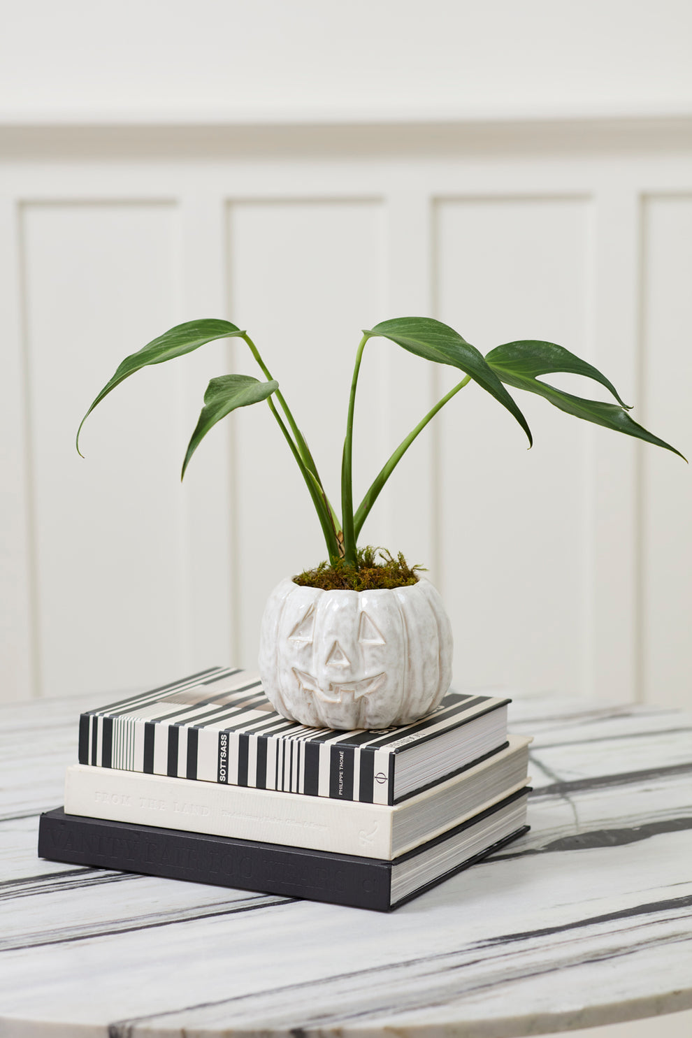 Glazed Pumpkin Pot Set of 2 By Accent Decor | Planters, Troughs & Cachepots | Modishstore - 3