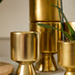 Gold De Vil Pot Set of 4 By Accent Decor | Stands | Modishstore - 1