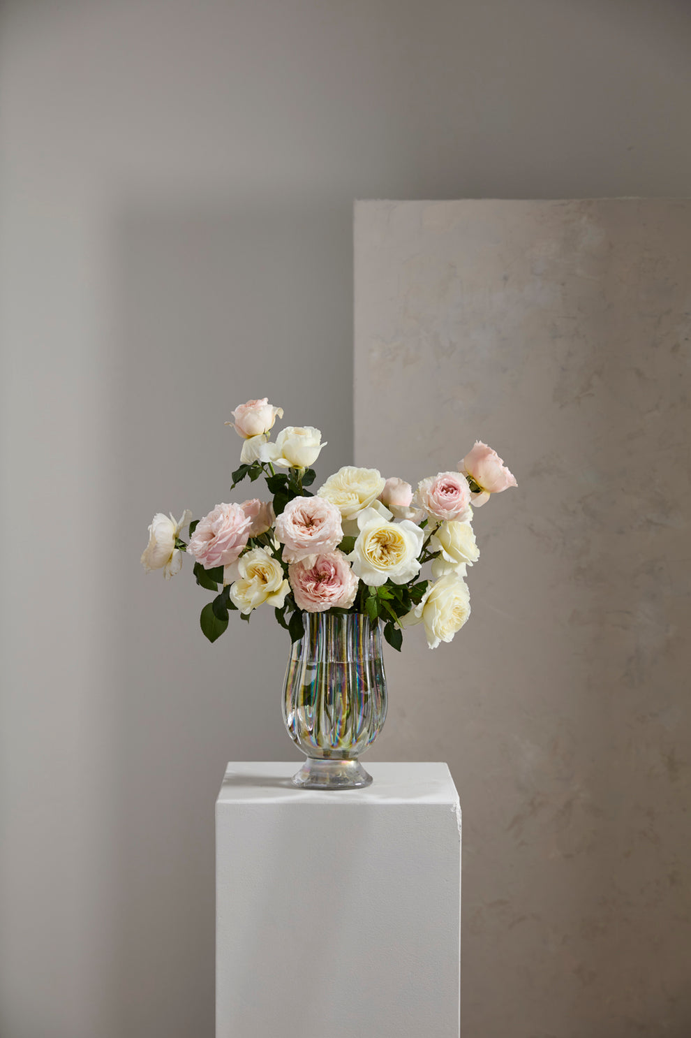Gossamer Vase Set of 2 By Accent Decor | Vases | Modishstore - 3