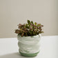 Greenway Pot Set of 2 By Accent Decor | Stands | Modishstore - 3