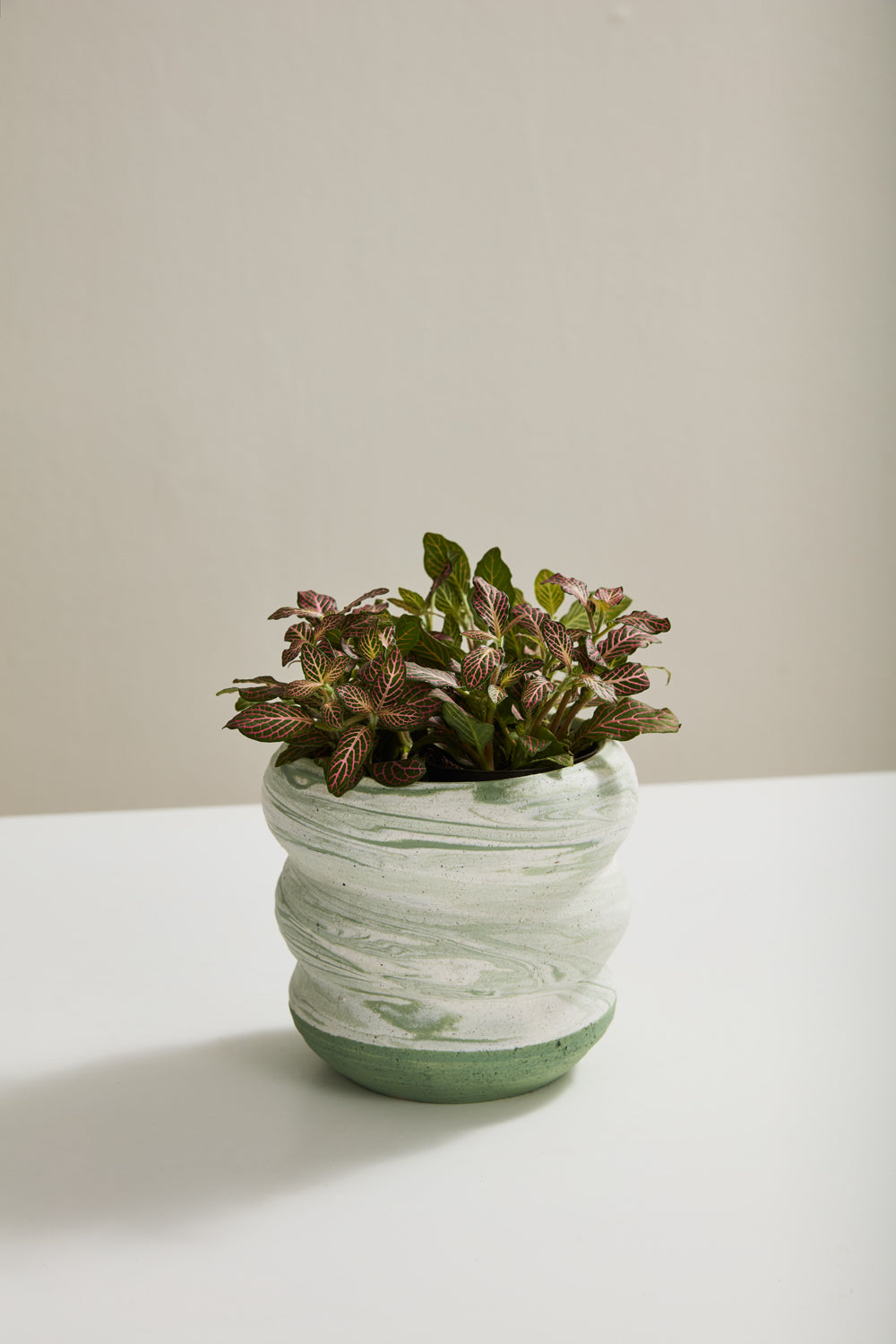 Greenway Pot Set of 2 By Accent Decor | Stands | Modishstore - 3