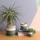 Greer Pot Set of 8 By Accent DŽcor