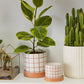 Grid Line Pot with Saucer Set of 4 By Accent Decor | Planters, Troughs & Cachepots | Modishstore - 3