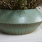 Gwendolyn Bowl By Accent Decor | Decorative Bowls | Modishstore - 1