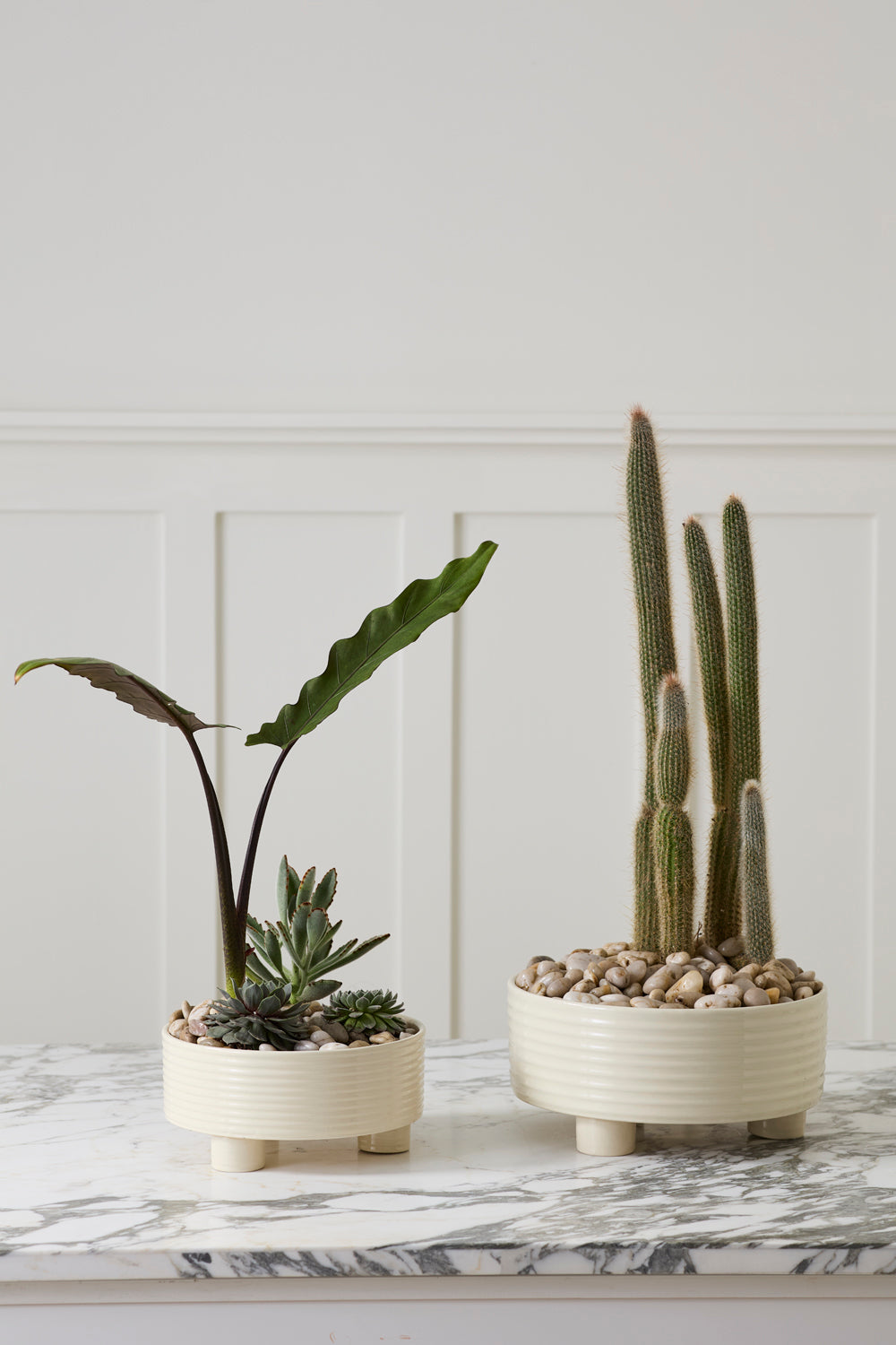 Hailey Footed Bowl By Accent Decor | Decorative Bowls | Modishstore - 3