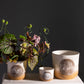 Hala Pot Set of 8 By Accent Decor | Planters, Troughs & Cachepots | Modishstore - 1