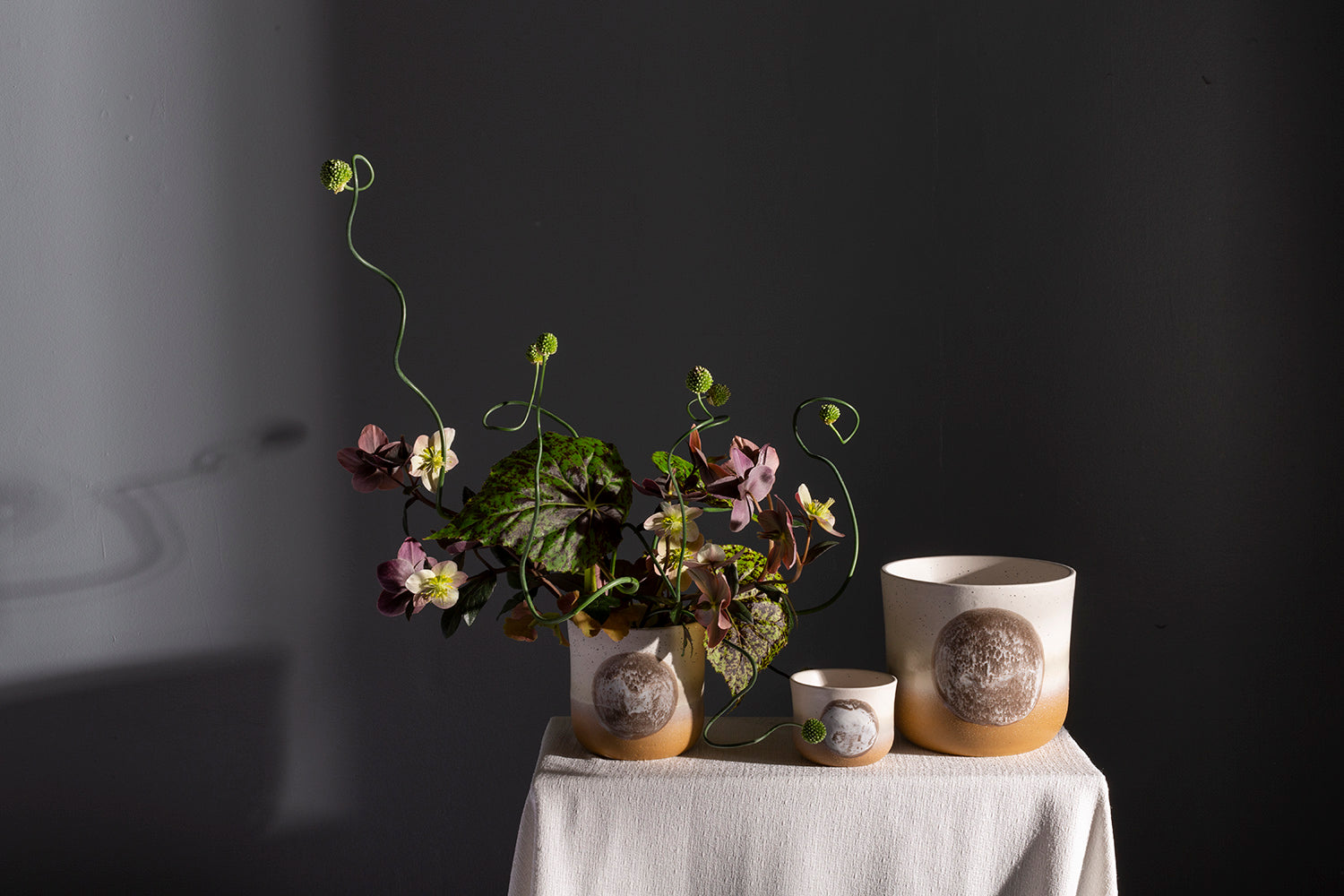 Hala Pot Set of 8 By Accent Decor | Planters, Troughs & Cachepots | Modishstore - 3