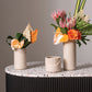 Halen Collection Set of 4 By Accent Decor | Planters, Troughs & Cachepots | Modishstore - 5