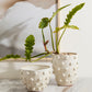 Hanover Pot By Accent Decor | Wall Decor | Modishstore - 3