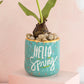 Happy Easter Pot Set of 4 By Accent Decor | Planters, Troughs & Cachepots | Modishstore - 1