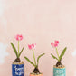 Happy Easter Pot Set of 4 By Accent Decor | Planters, Troughs & Cachepots | Modishstore - 3