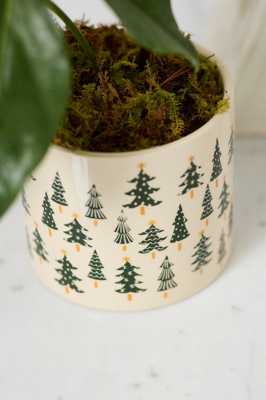 Happy Little Trees Pot Set of 4 By Accent Decor | Planters, Troughs & Cachepots | Modishstore - 1