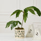 Happy Little Trees Pot Set of 4 By Accent Decor | Planters, Troughs & Cachepots | Modishstore - 3