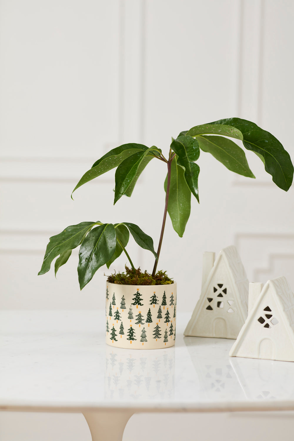 Happy Little Trees Pot Set of 4 By Accent Decor | Planters, Troughs & Cachepots | Modishstore - 3
