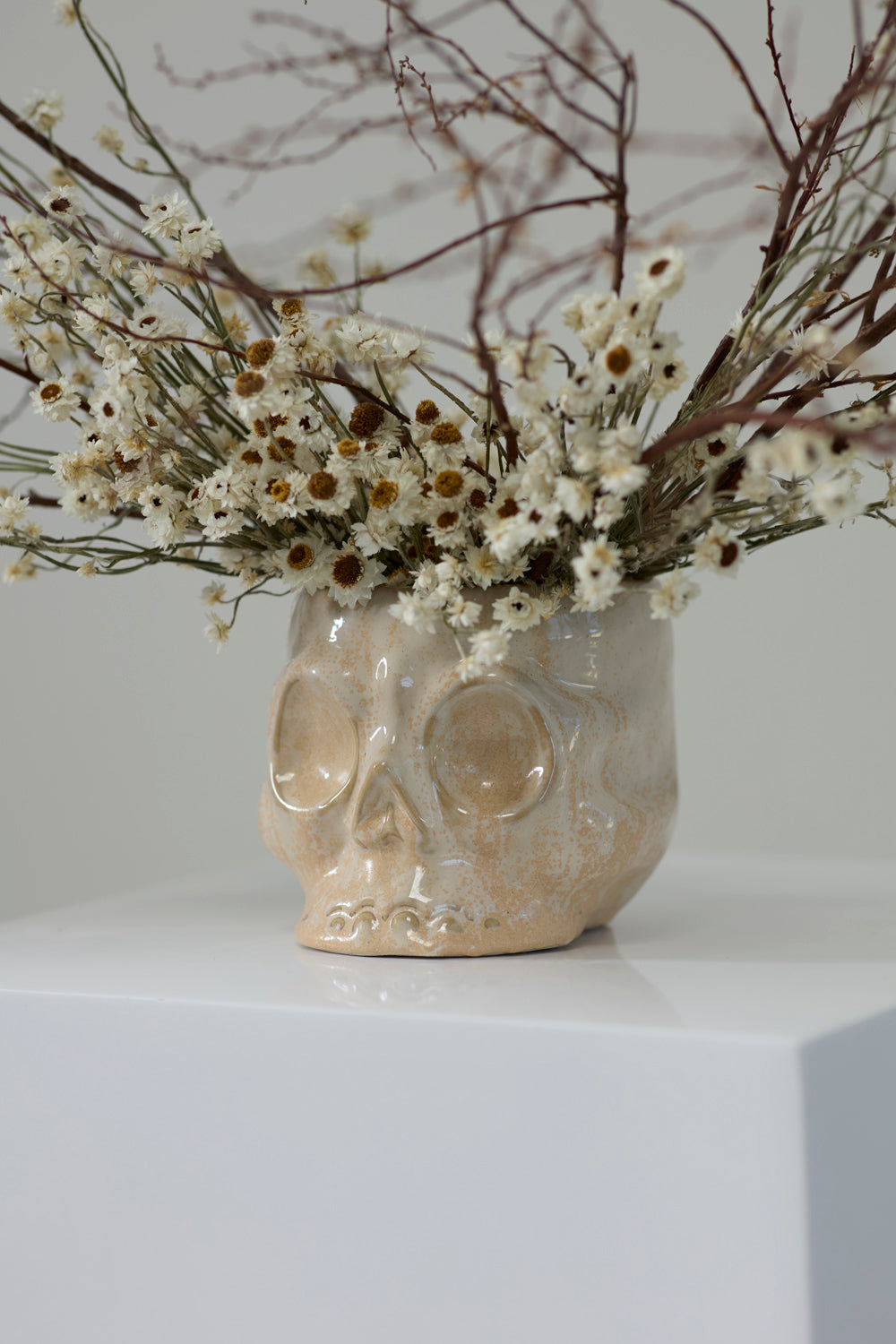 Haunting Skull Pot Set of 2 By Accent Decor | Planters, Troughs & Cachepots | Modishstore - 1