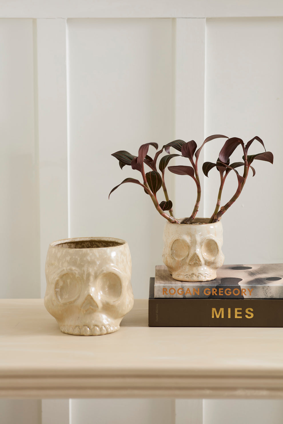 Haunting Skull Pot Set of 2 By Accent Decor | Planters, Troughs & Cachepots | Modishstore - 4
